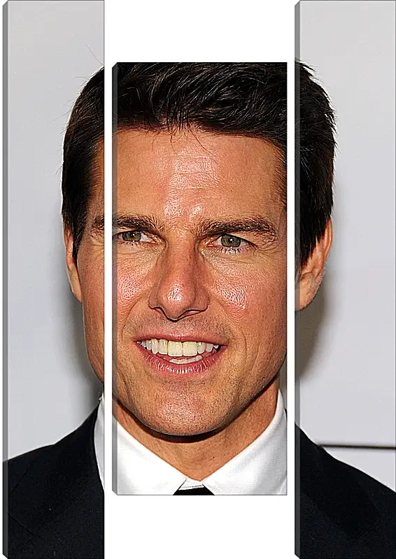 Модульная картина - Том Круз. Tom Cruise