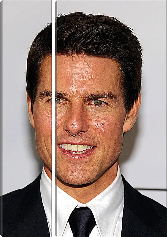 Модульная картина - Том Круз. Tom Cruise