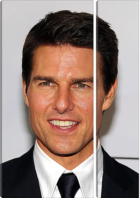 Модульная картина - Том Круз. Tom Cruise