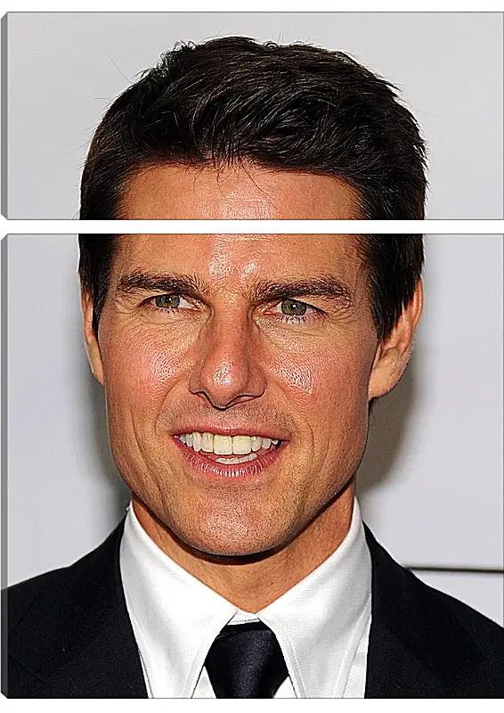 Модульная картина - Том Круз. Tom Cruise