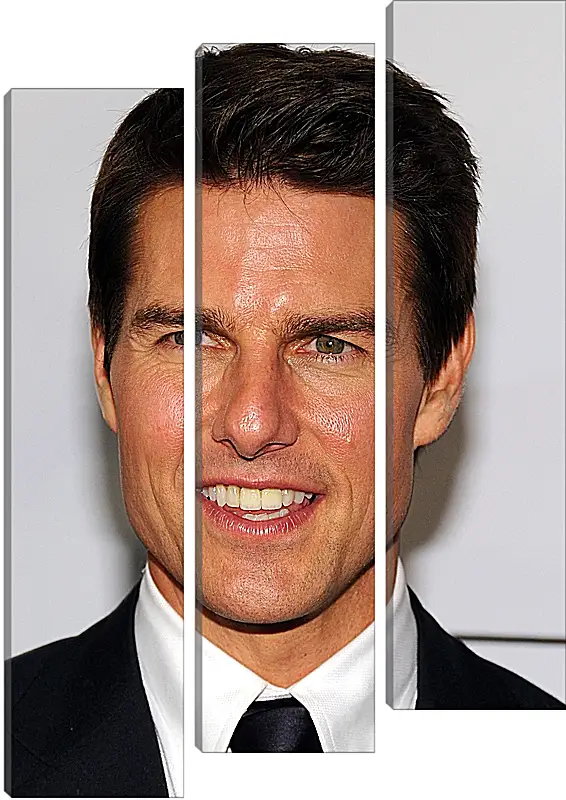 Модульная картина - Том Круз. Tom Cruise