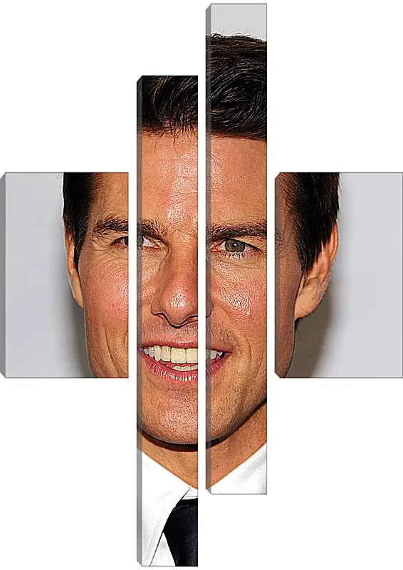 Модульная картина - Том Круз. Tom Cruise