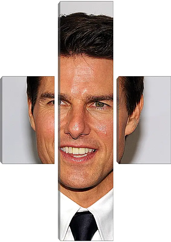 Модульная картина - Том Круз. Tom Cruise