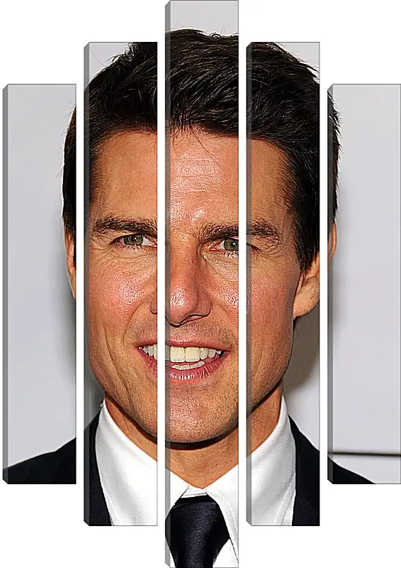 Модульная картина - Том Круз. Tom Cruise