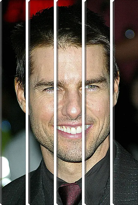 Модульная картина - Том Круз. Tom Cruise