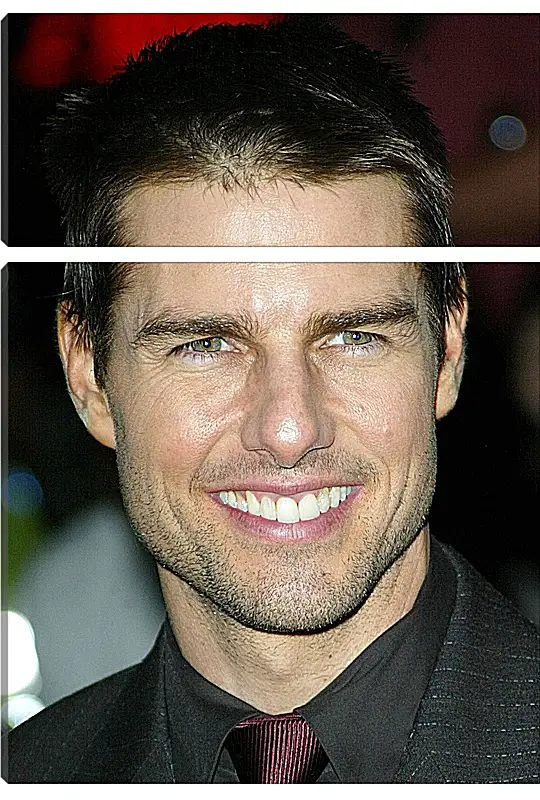 Модульная картина - Том Круз. Tom Cruise