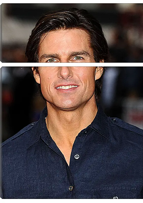 Модульная картина - Том Круз. Tom Cruise