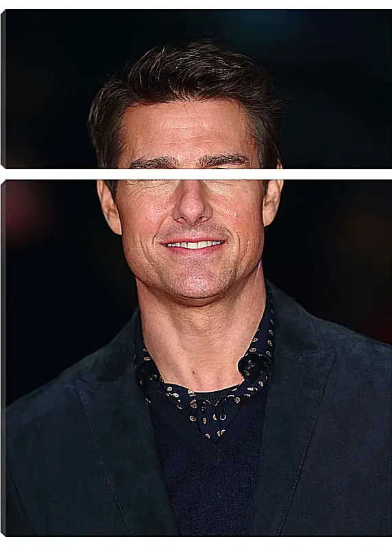 Модульная картина - Том Круз. Tom Cruise