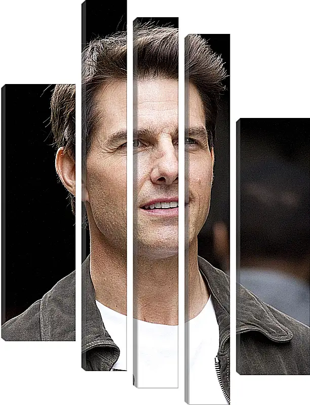 Модульная картина - Том Круз. Tom Cruise