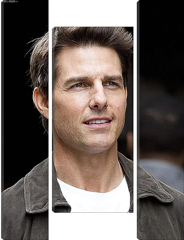 Модульная картина - Том Круз. Tom Cruise