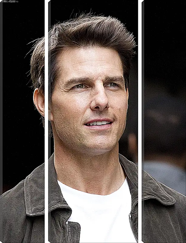 Модульная картина - Том Круз. Tom Cruise