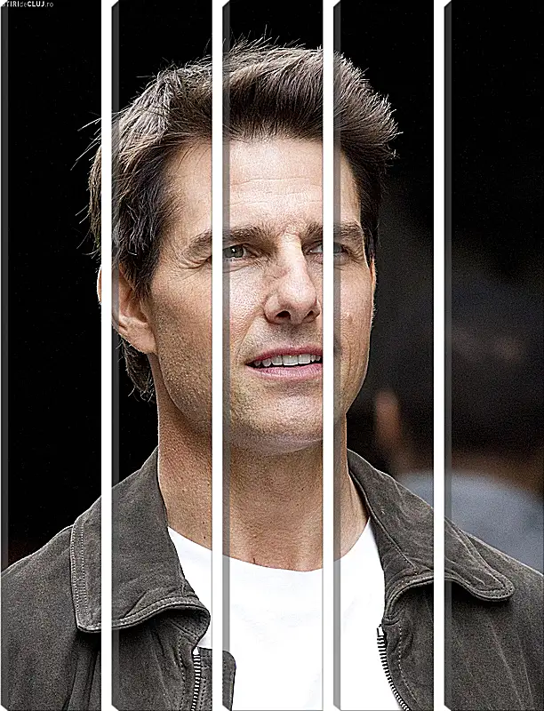 Модульная картина - Том Круз. Tom Cruise