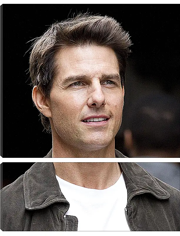 Модульная картина - Том Круз. Tom Cruise