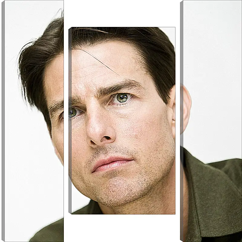 Модульная картина - Том Круз. Tom Cruise