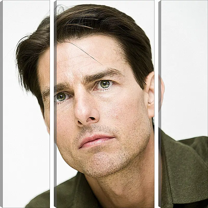 Модульная картина - Том Круз. Tom Cruise