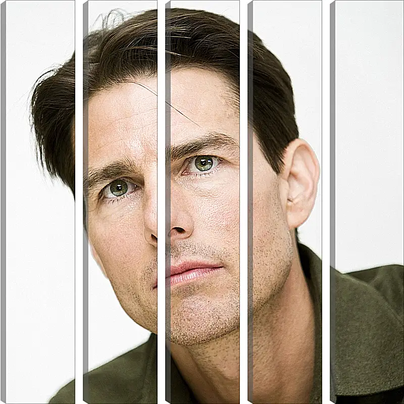 Модульная картина - Том Круз. Tom Cruise