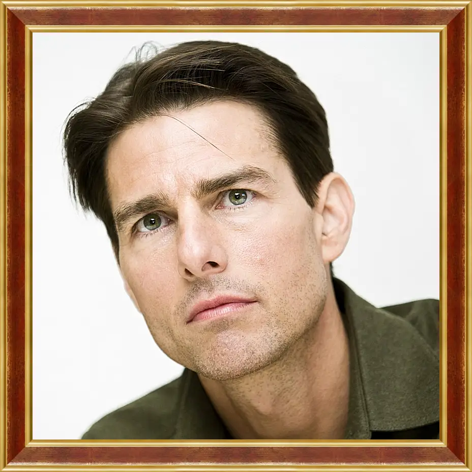 Картина в раме - Том Круз. Tom Cruise