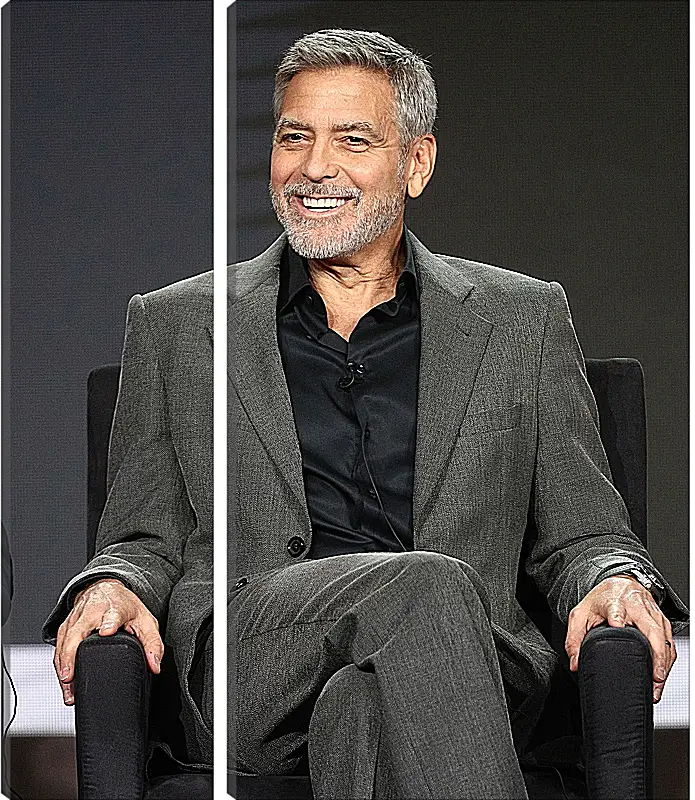 Модульная картина - Джордж Клуни. George Clooney