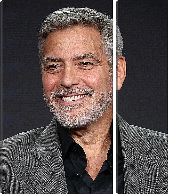Модульная картина - Джордж Клуни. George Clooney