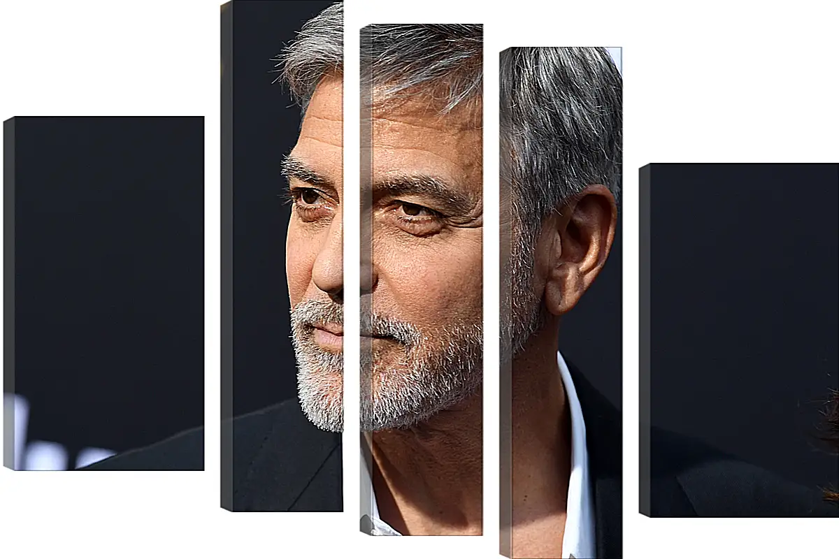 Модульная картина - Джордж Клуни. George Clooney
