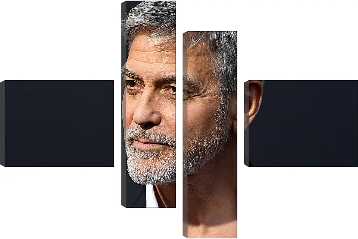 Модульная картина - Джордж Клуни. George Clooney