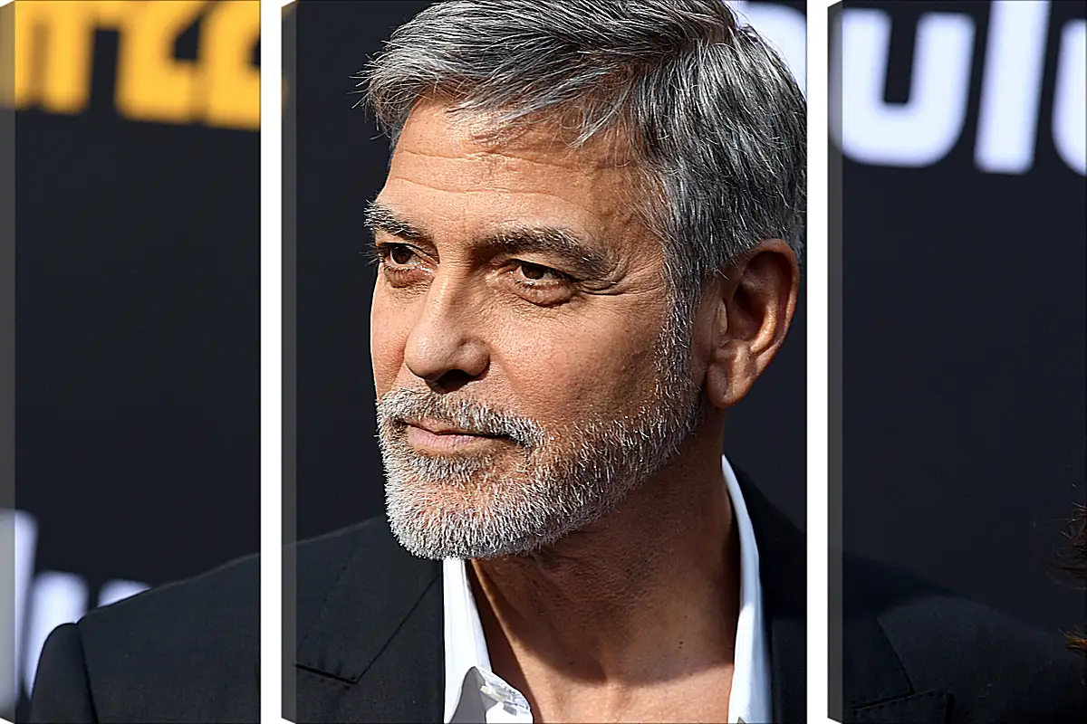 Модульная картина - Джордж Клуни. George Clooney