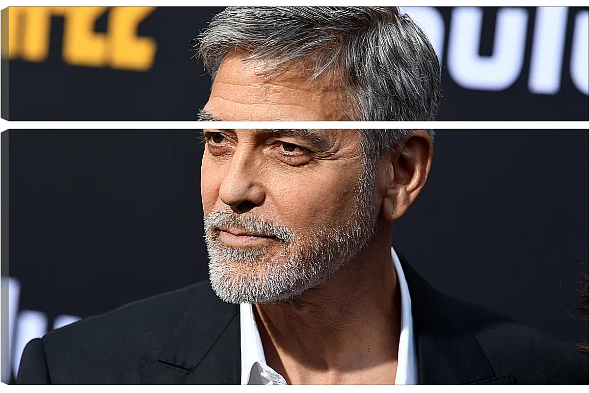 Модульная картина - Джордж Клуни. George Clooney