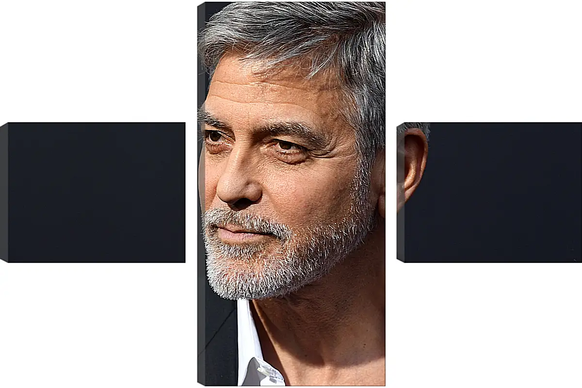 Модульная картина - Джордж Клуни. George Clooney