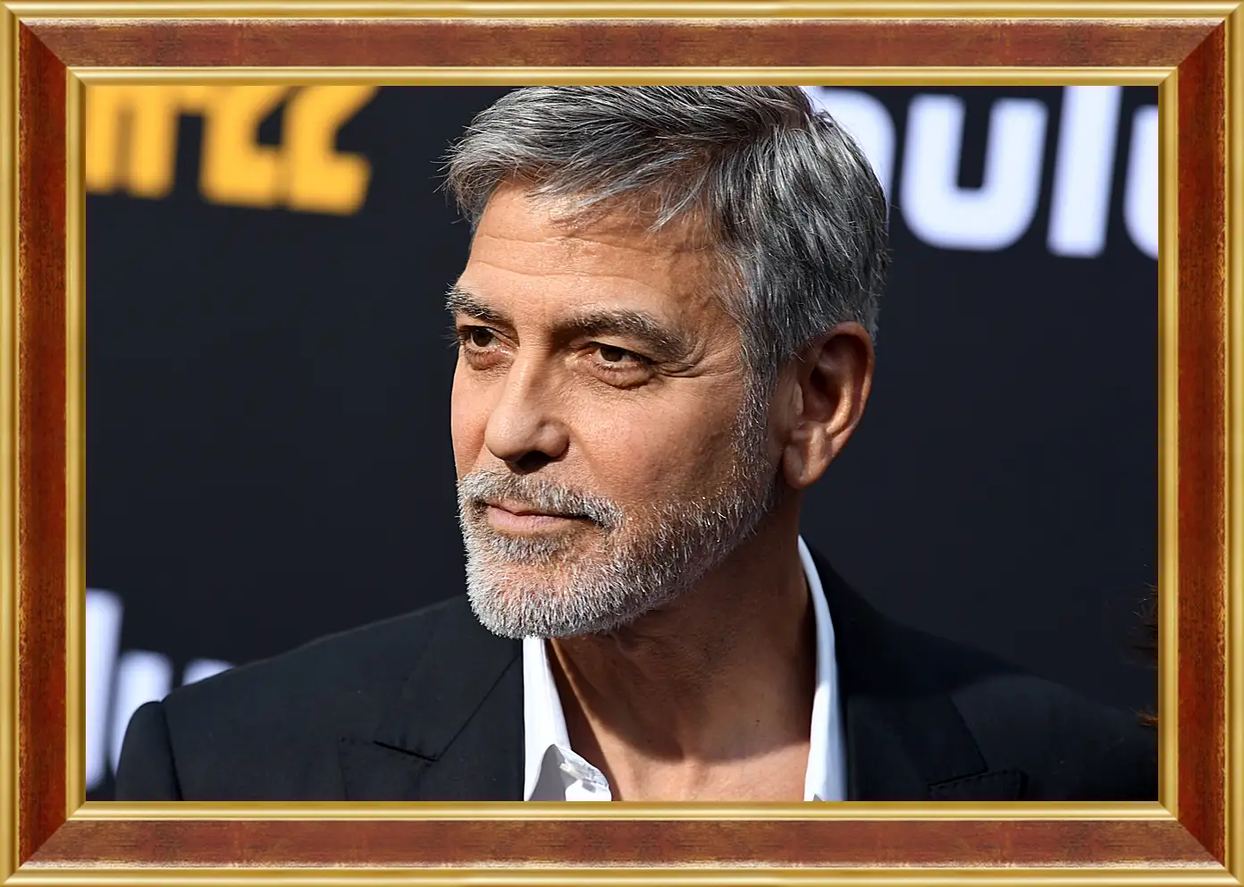 Картина в раме - Джордж Клуни. George Clooney