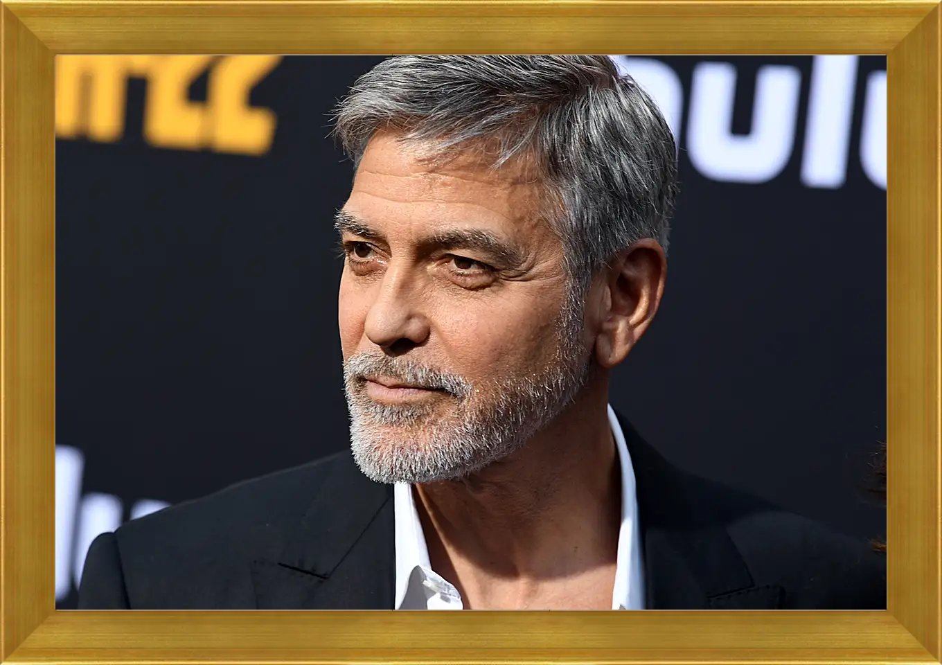 Картина в раме - Джордж Клуни. George Clooney