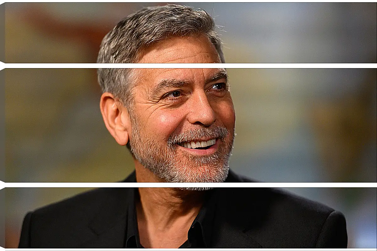 Модульная картина - Джордж Клуни. George Clooney