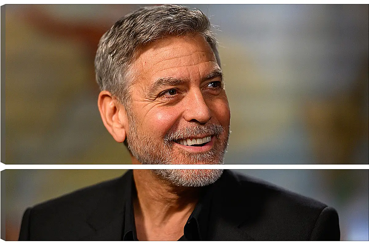Модульная картина - Джордж Клуни. George Clooney