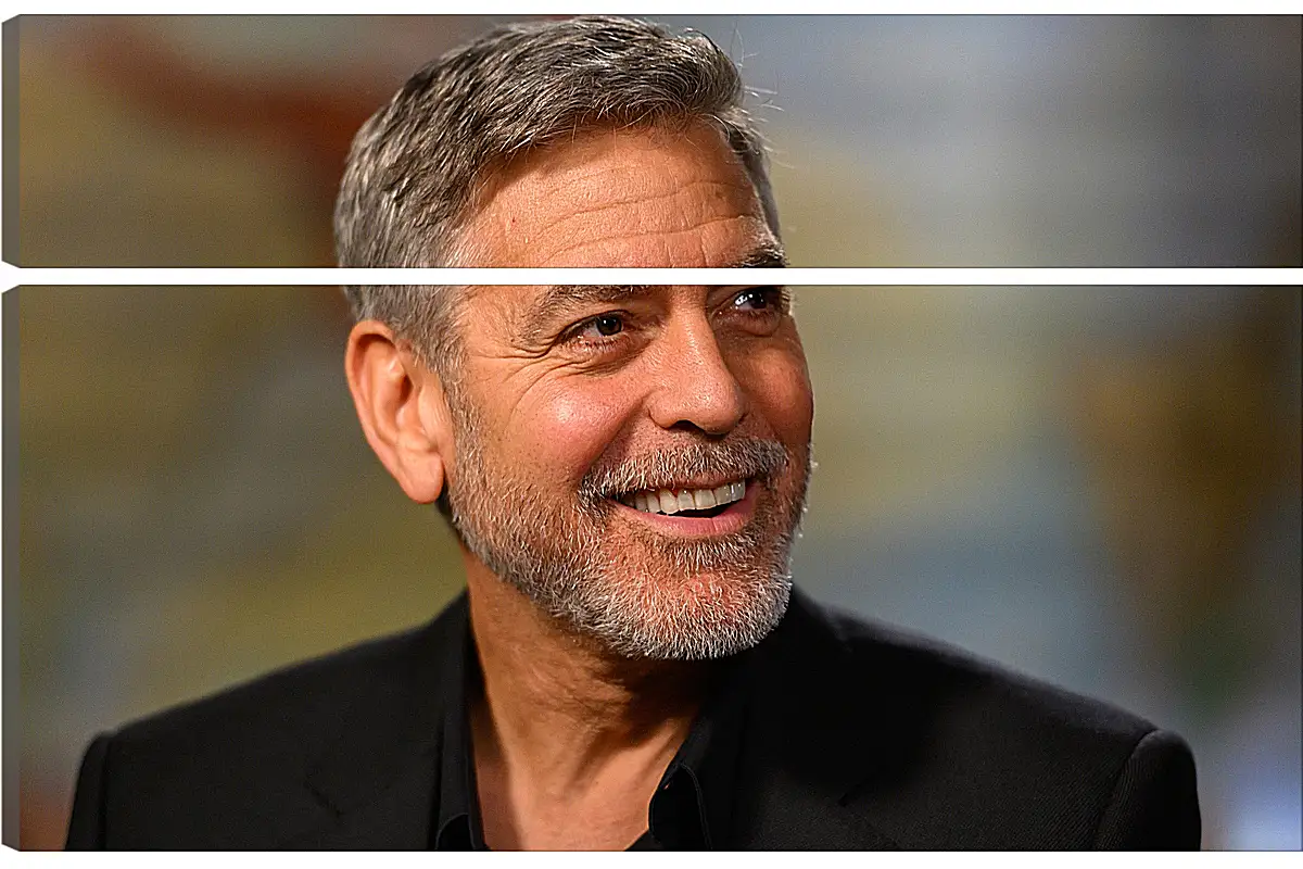 Модульная картина - Джордж Клуни. George Clooney