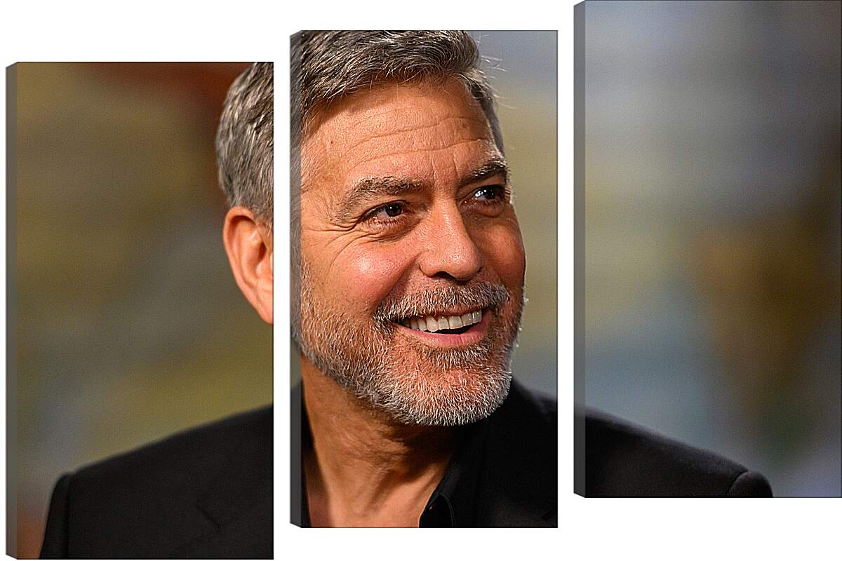 Модульная картина - Джордж Клуни. George Clooney