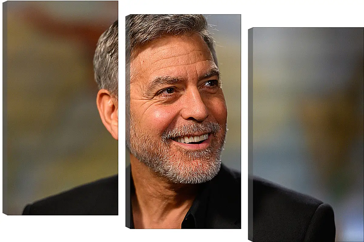 Модульная картина - Джордж Клуни. George Clooney