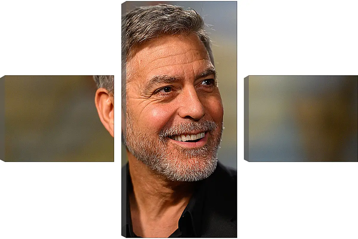 Модульная картина - Джордж Клуни. George Clooney