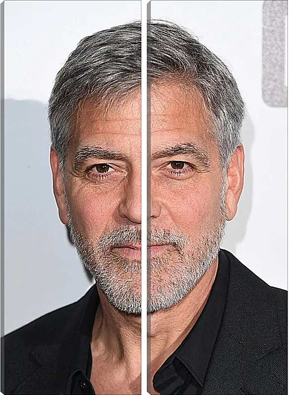 Модульная картина - Джордж Клуни. George Clooney