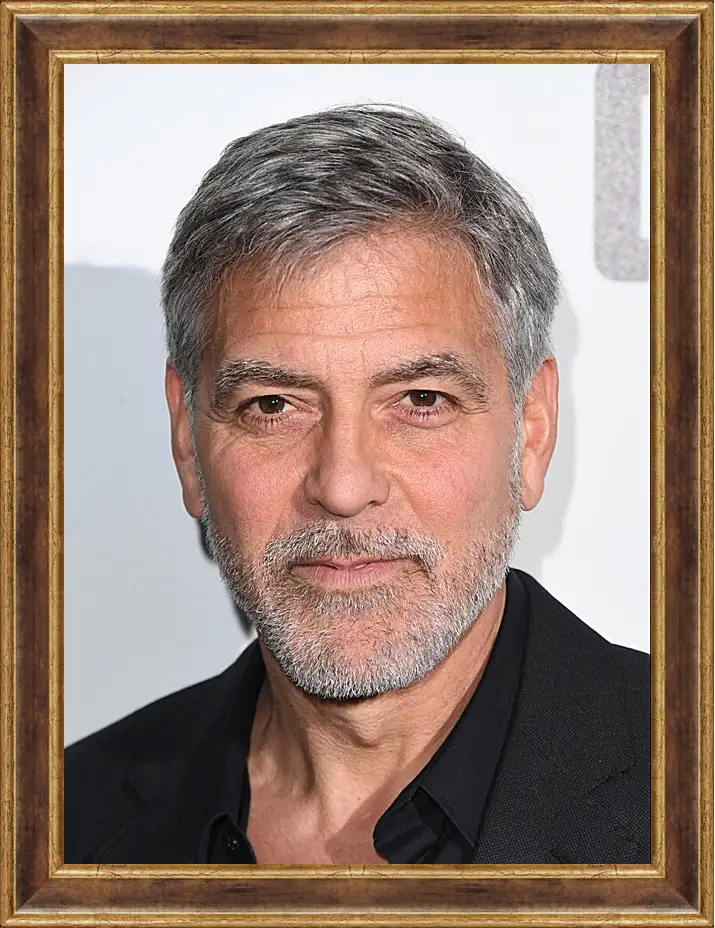 Картина в раме - Джордж Клуни. George Clooney