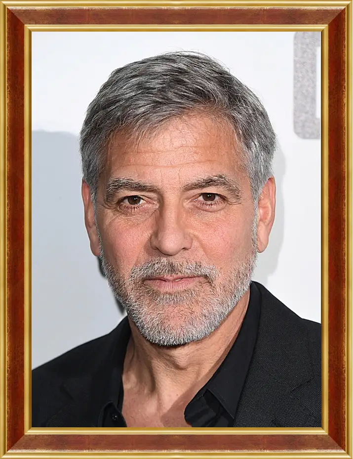 Картина в раме - Джордж Клуни. George Clooney