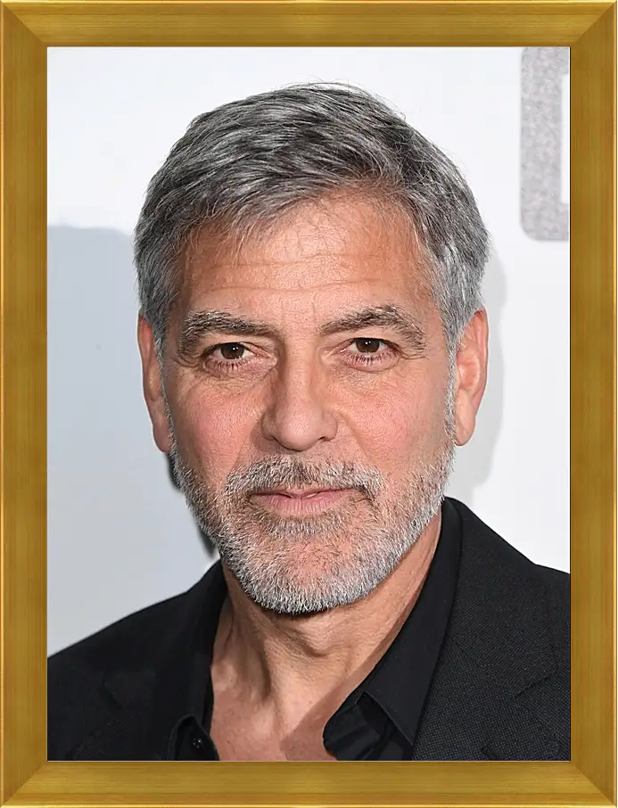 Картина в раме - Джордж Клуни. George Clooney