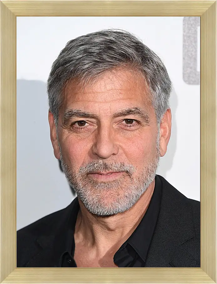 Картина в раме - Джордж Клуни. George Clooney