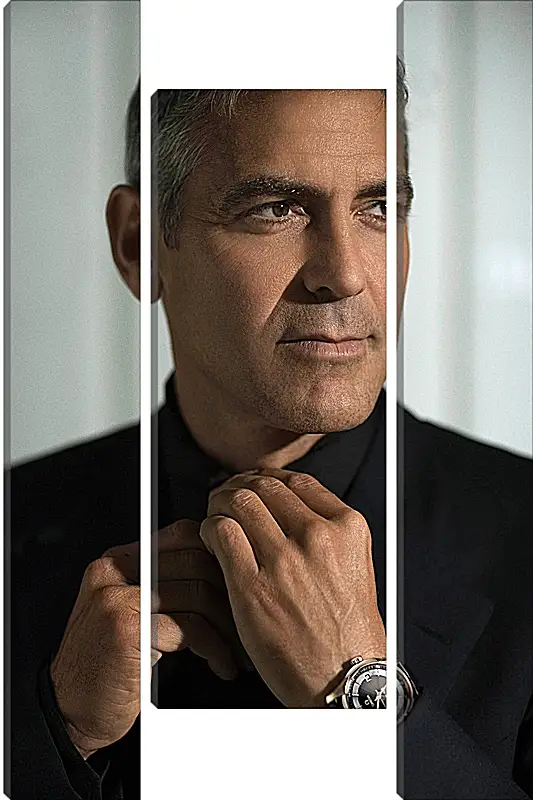 Модульная картина - Джордж Клуни. George Clooney