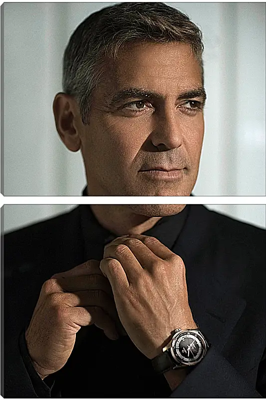 Модульная картина - Джордж Клуни. George Clooney