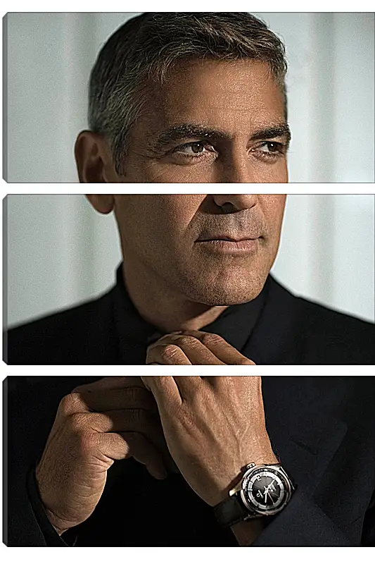 Модульная картина - Джордж Клуни. George Clooney