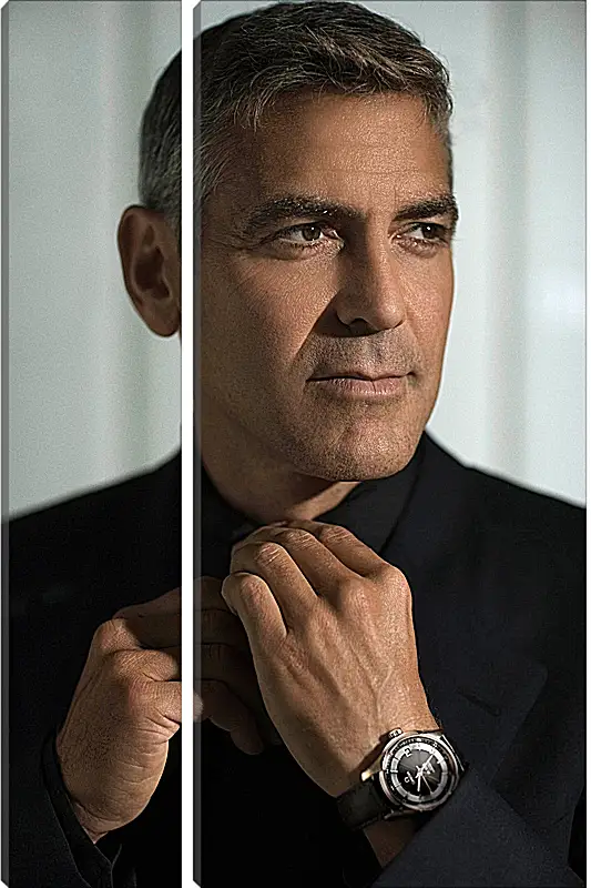 Модульная картина - Джордж Клуни. George Clooney