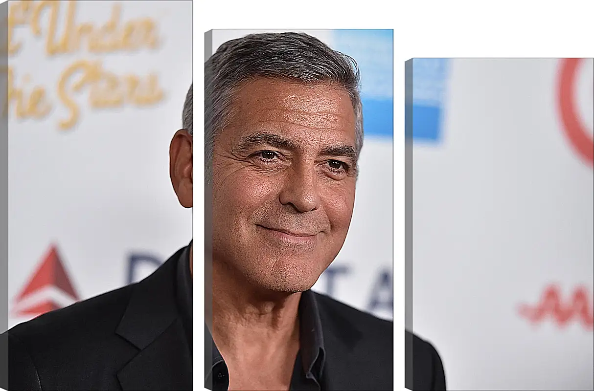 Модульная картина - Джордж Клуни. George Clooney