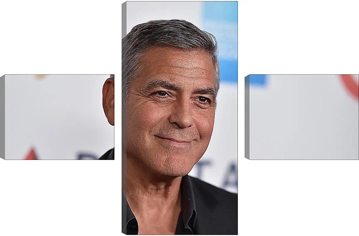 Модульная картина - Джордж Клуни. George Clooney