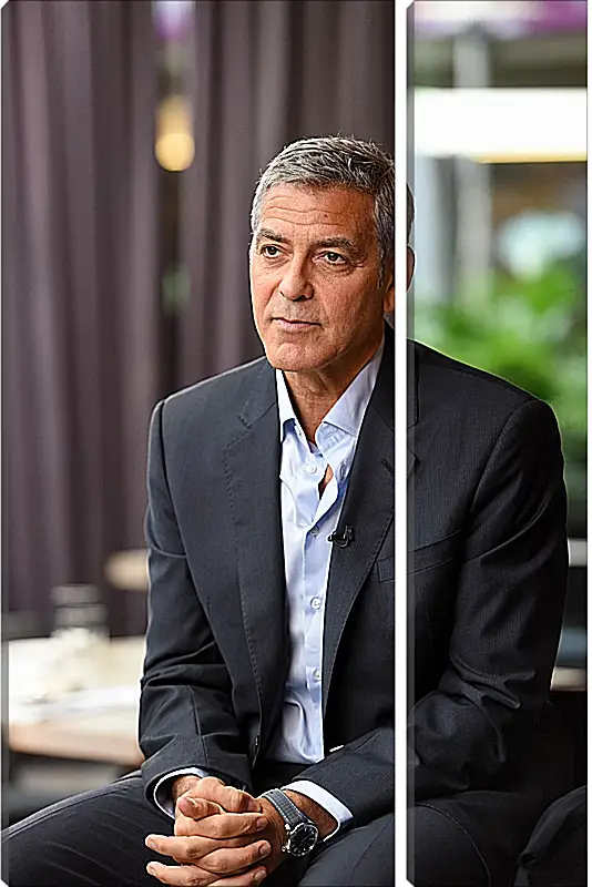 Модульная картина - Джордж Клуни. George Clooney
