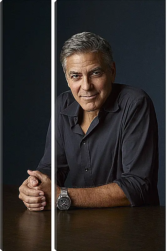 Модульная картина - Джордж Клуни. George Clooney