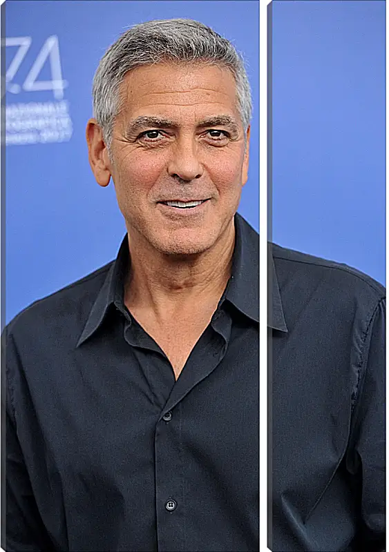 Модульная картина - Джордж Клуни. George Clooney